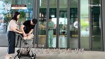 경계심이 심한 반려견은 유아차를 비추천한다?! 그 이유는 무엇?