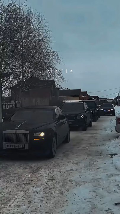 mafia