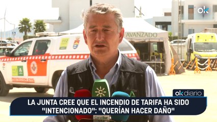 La Junta cree que el incendio de Tarifa ha sido "intencionado": "Querían hacer daño"