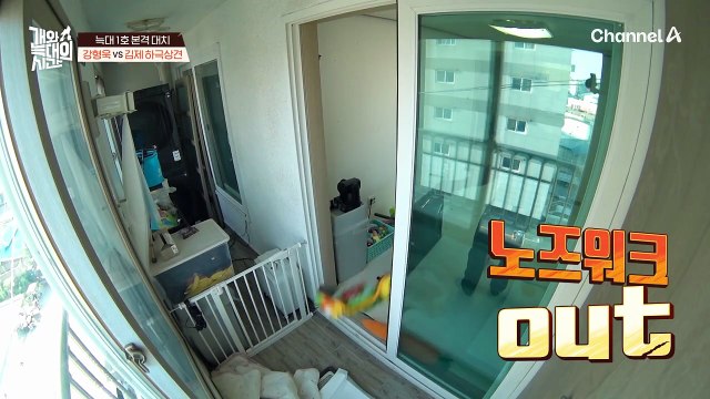 늑대 1호의 모든 물건을 치워버린 강형욱! 과연 늑대 1호의 반응은?