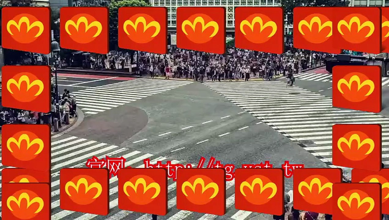 电报私信,电报(TG)群发助手,电报(TG)采集,电报(TG)加好友.