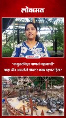 कबुतरांचा विषय पुण्यातही पेटला पाहा काय घडलं?