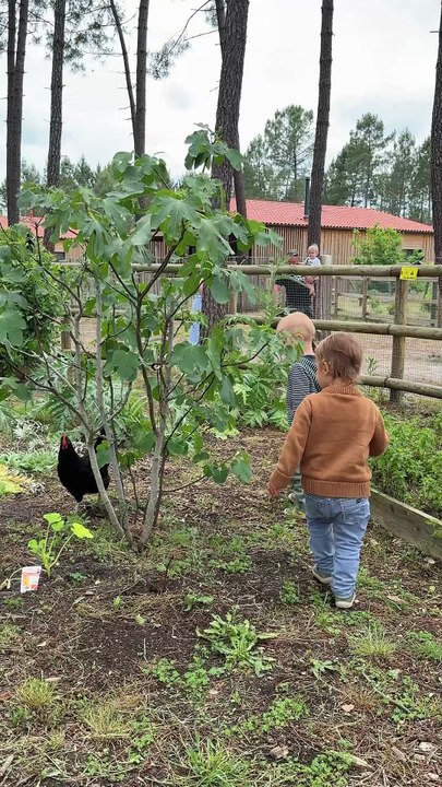 PARENTS X CENTER PARCS - Vidéo 18-36 mois
