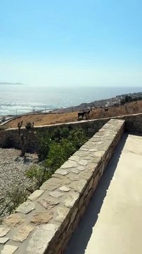 Νίκος Κοκλώνης: Το βίντεο με τα κατσίκια από τις καλοκαιρινές διακοπές του