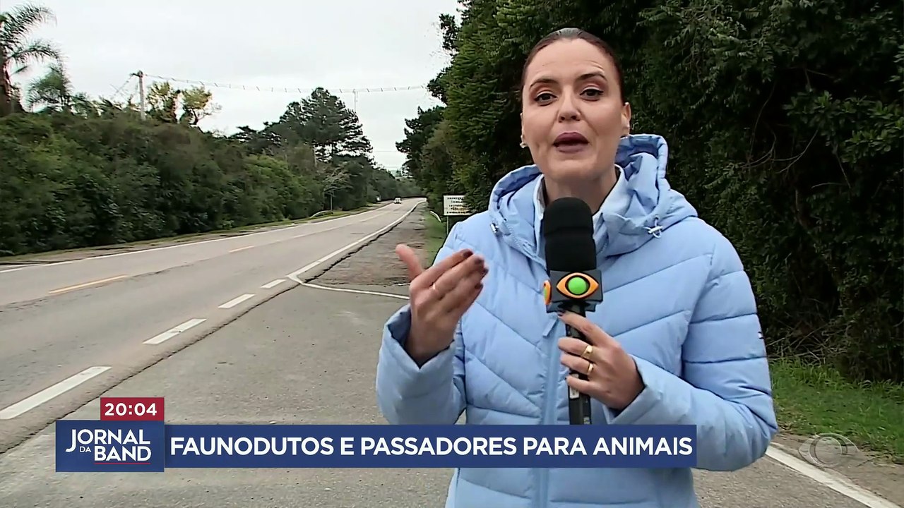 Faunodutos e passadores ajudam a evitar atropelamento de animais
