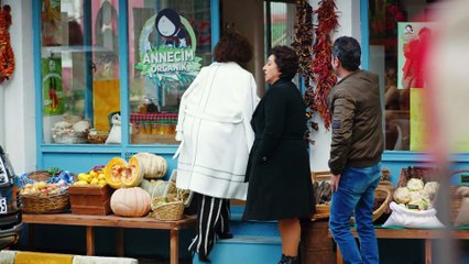 Pajaro Soñador Capitulo 100 Español Latino