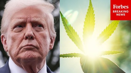 Trump Announces That 'We're Looking A Reclassification' Of Marijuana