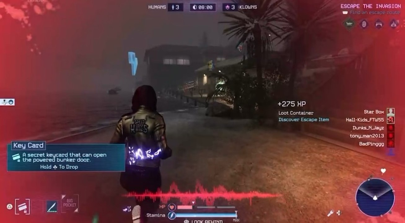Some people just never learn