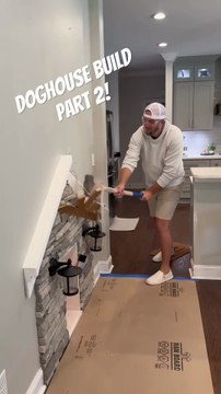 My Golden Retriever New House 🏠 | #usa #america #dog #pets #dailymotion #unitedstates