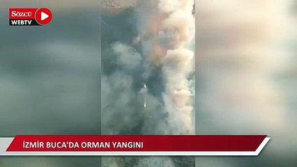 İzmir Buca'da orman yangını