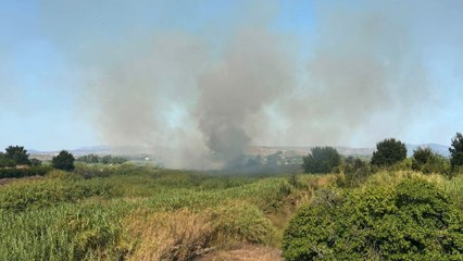 Incendio declarado en Xàtiva (12/08/2025)