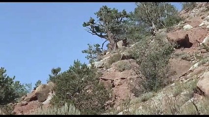 Cabalga el Huracán /Películas del Oeste Completas en Español Latino