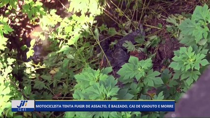 Motociclista tenta fugir de assalto, é baleado, cai do viaduto e morre