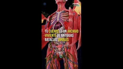 ATBCIENCIA - Tu ADN guarda la memoria de antiguos virus