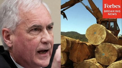 'Carry It Out Or Nature Will Burn It Out': Tom McClintock Touts Bill To Increase Timber Harvesting
