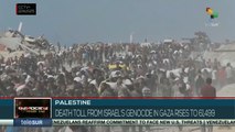Palestine: Death toll in Gaza rises to 61,499