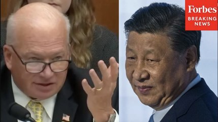 Fitzgerald Decries Chinese Patents: 'We're Subsidizing The Continued Theft Of American' Property