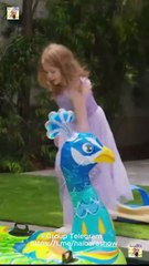 Una Reina Nunca Llora Completo S Shorttv