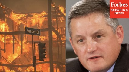 'Turn The Tide Against Our Current Wildfire Crisis': Bruce Westerman Demands Work To End Wildfires