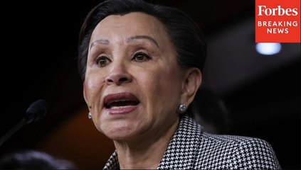 Nydia Velázquez Shreds 7A Business Loan Limit Increase: 'Just Seemed To Be Plucked Out Of Thin Air'