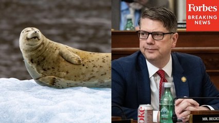 Nick Begich: “Overly Precautionary” Marine Mammal Protections Stymie Coastal Development