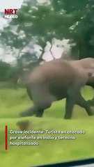 Un turista vivió minutos de t3rror en India cuando su curiosidad lo llevó demasiado cerca de un elefante salvaje. El animal reaccionó con fuerza, persiguiéndolo y at@cándolo hasta dejarlo grav3mente her1do. Fue trasladado de urgenc1a al hospital.