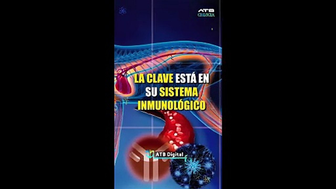 ATBCIENCIA - ¿Por qué los gatos viven más que los perros?
