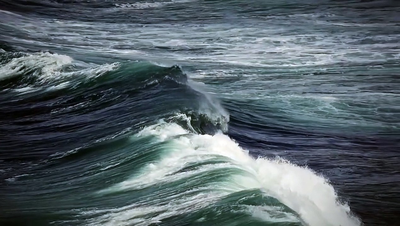 @dailymotion waves