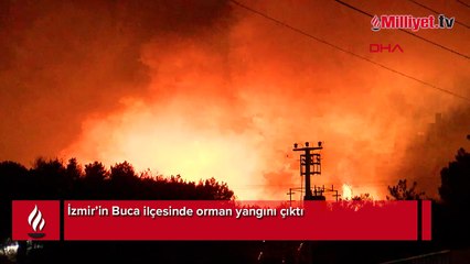 Buca'da ormanlık alana sıçrayan yangın devam ediyor