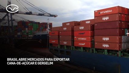 Brasil abre mercados para exportar cana-de-açúcar e gergelim