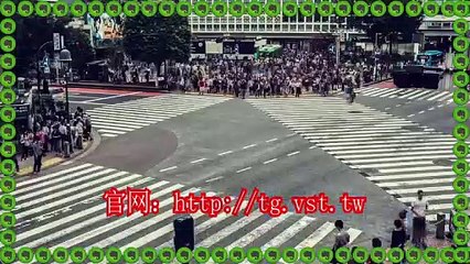 Telegram营销,Telegram吸粉,电报采集,电报行销.