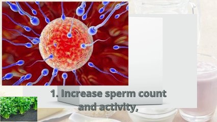 5 Benefits of Celery, Increase Sperm Count to Sexual Desire