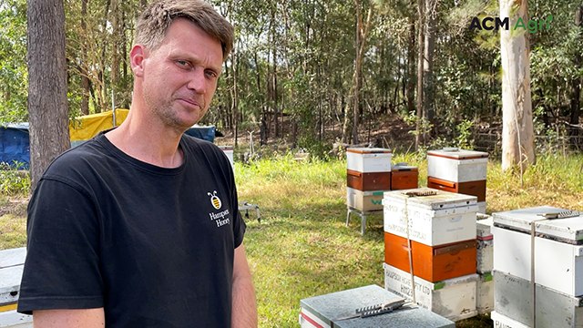 50,000 bees per hive driving strong yields at Hampson Honey