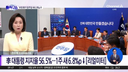 [핫피플]與 “조국·윤미향 사면 여론 나쁘지 않아”
