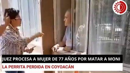 Vinculan a mujer de 77 años por matar a perrita en la alcaldía Coyoacán