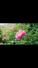 Join the Fun! Watch This Couple's Toy Adventure at Home!