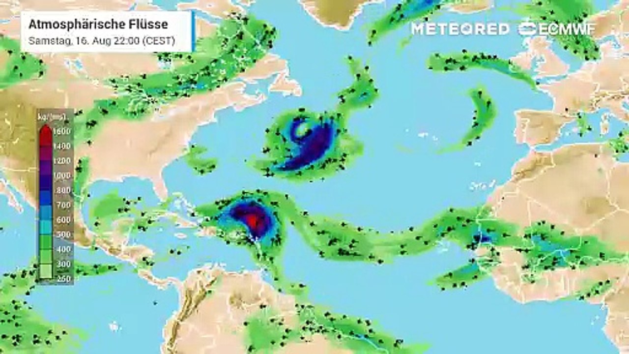 Hurrikan Erin zieht Richtung Karibik und später nimmt er Kurs auf die US-Ostküste!
