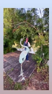 Anthony Delon montre des vues du domaine de Douchy qui appartenait à son père Alain Delon