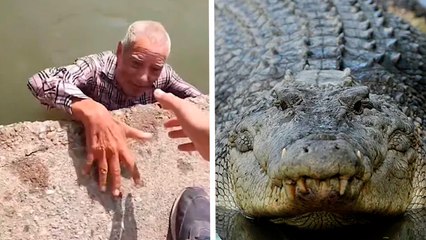 Tamaulipas: Abuelo se salva de ser devorado por cocodrilo