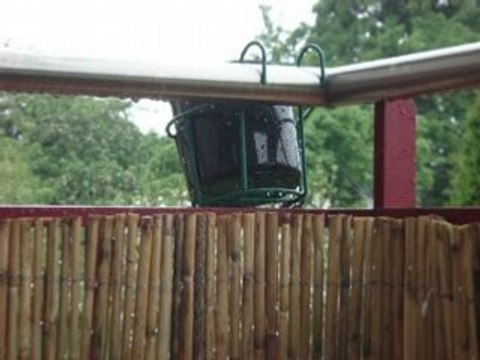 Tentatives de récupération d'eau de pluie...