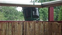 Tentatives de récupération d'eau de pluie...