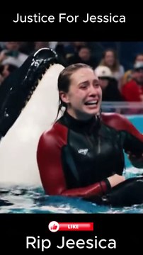 Jeesica incident#orcas #trending #foryoupage #orcas #trending #foryoupage