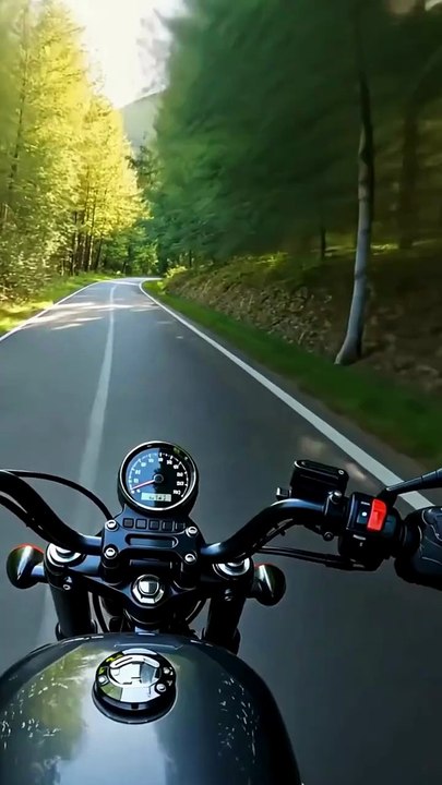 Motorcycle POV Ride Through Forest Trails 🌲🏍️ | Nature Sounds & Freedom