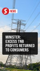 TNB’s excess profits redistributed to consumers via industry fund, Parliament told