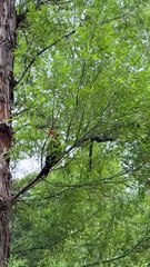 chase discovering funny news