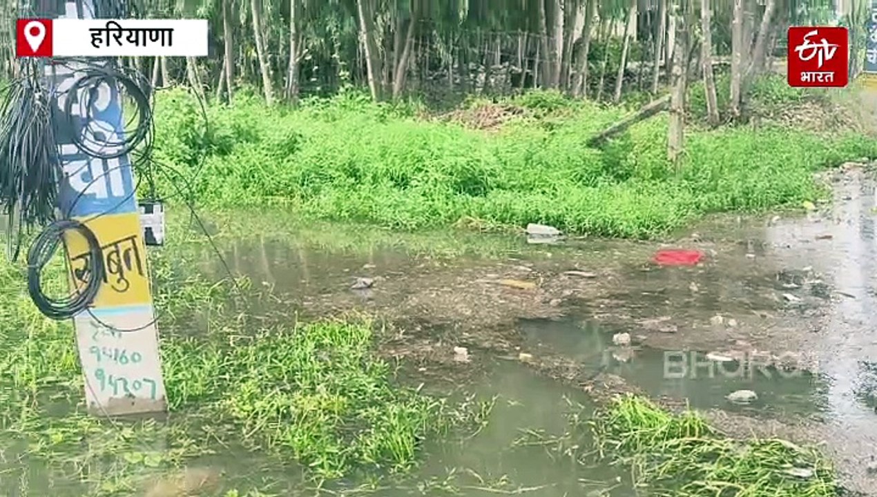 यमुनानगर में बारिश का तांडव, पंजेटो गांव में घुसा 10 गांवों का पानी, हाईवे पर भी जलजमाव