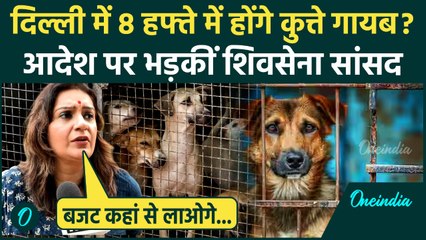 Supreme Court Order on Stray Dogs: कोर्ट पर शिवसेना(यूबीटी) MP Priyanka Chaturvedi ने उठाए सवाल