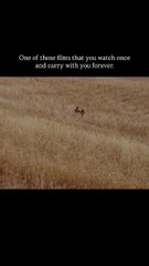 Cinema Paradiso (1988) is a heartwarming Italian drama by Giuseppe Tornatore