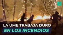 La UME no cesa en la lucha contra el fuego en Zamora y León