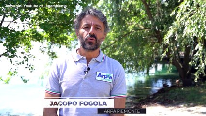 Microplastiche nel lago d'Orta, Legambiente: "Serve prevenzione e innovazione"